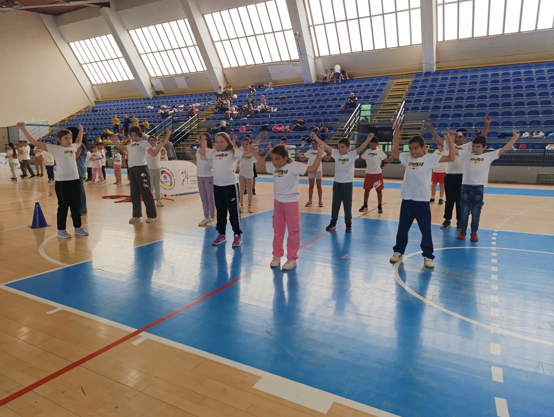 Европски дан школског спорта